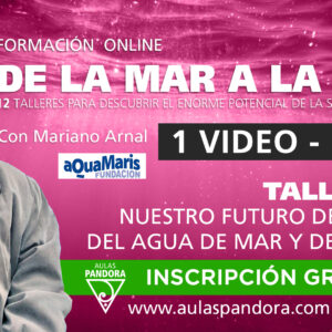 Formacion online: DE LA MAR A LA SAL ( Taller 12 ) – Mariano Arnal